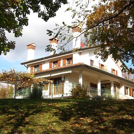 Stirenca B&B Trieste Eksteriør billede