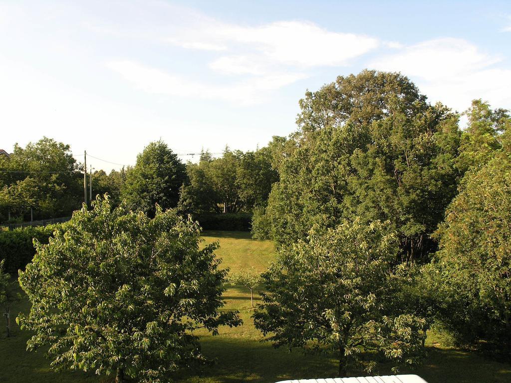 Stirenca B&B Trieste Eksteriør billede