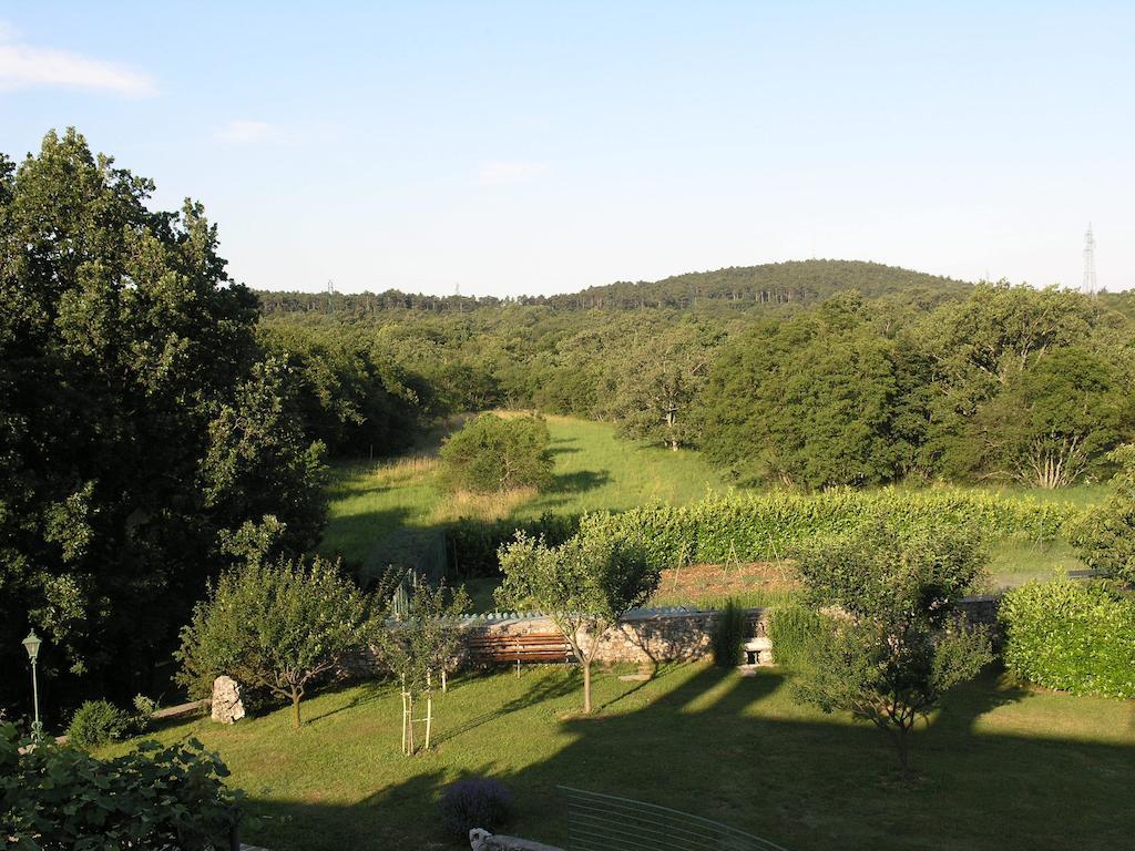 Stirenca B&B Trieste Eksteriør billede